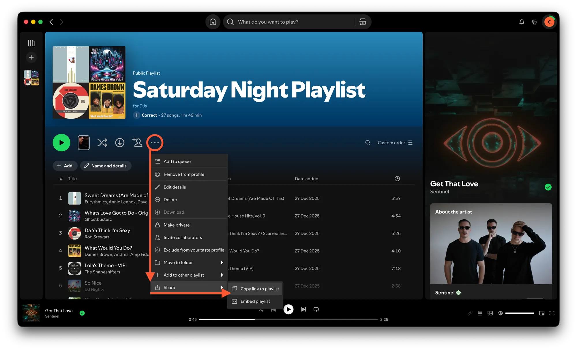 spotify - copy